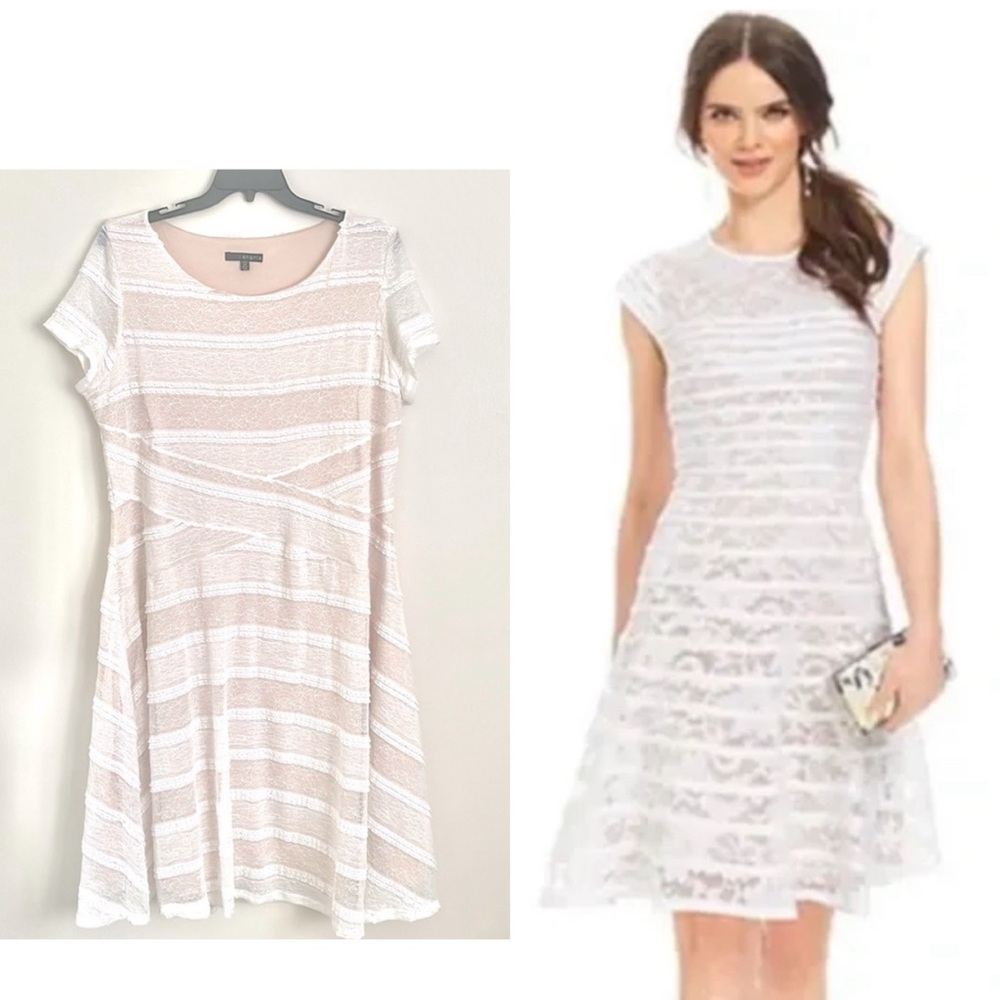 Sangria Woman cream and ivory lace short sleeve dress